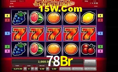 Sistemas de Segurança 78Br